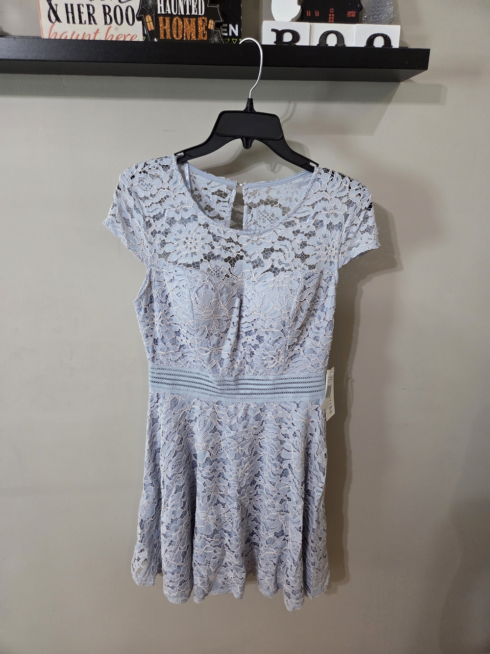 Scalloped Lace Mini Dress in Light Blue